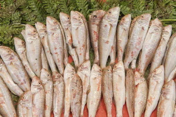 Свіжа риба та морепродукти, виставлені на ринку — стокове фото