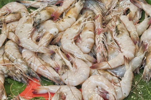 Acuerdo de camarones y mariscos frescos exhibido en el mercado —  Fotos de Stock