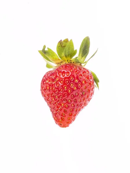 Fragole fresche singole intere — Foto Stock