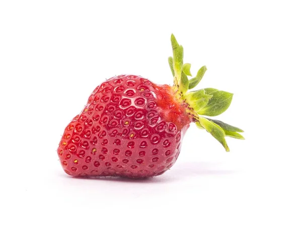 Fragole fresche singole intere — Foto Stock