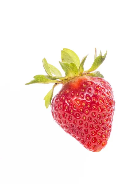 Fresas individuales enteras frescas — Foto de Stock