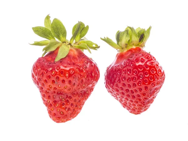 Fresh whole individual strawberries — Stock Photo, Image