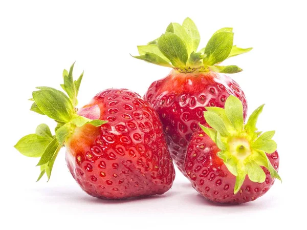 kırmızı olgun bütün çilek