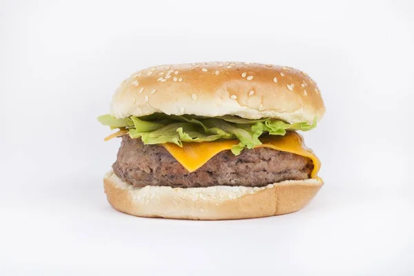 stock image Tasty burgers shot in studio