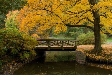 Kent parkta sonbahar renkleri