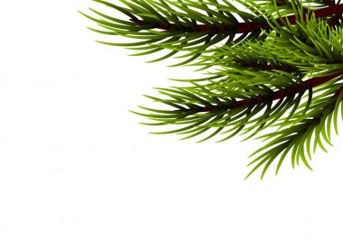 Gerçekçi izole köknar afiş arka plan