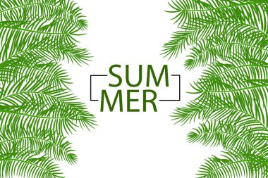 Tropikal backgroung palmiye yaprağı