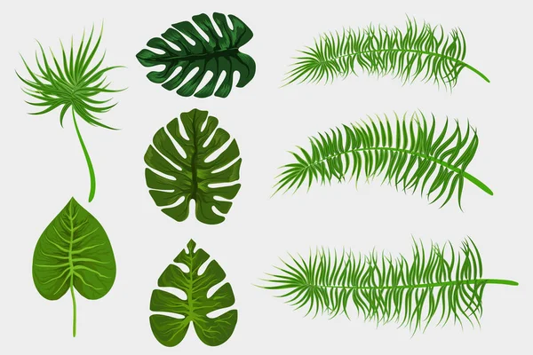Tropikal backgroung palmiye yaprağı — Stok Vektör