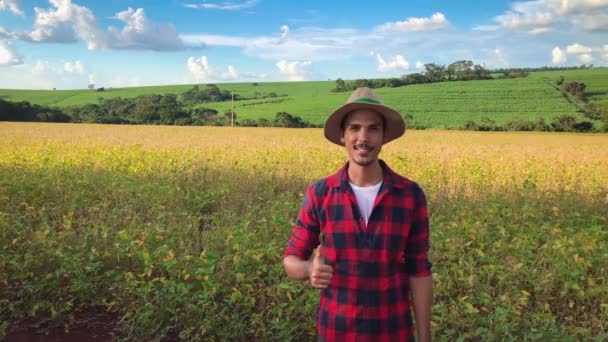 Jordbrukare Eller Anställd Med Hatt Sojabönor Fältet Plantage — Stockvideo