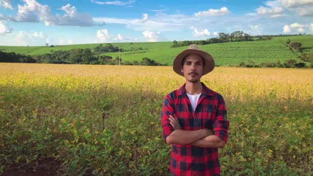 Jordbrukare Eller Anställd Med Hatt Sojabönor Fältet Plantage — Stockvideo