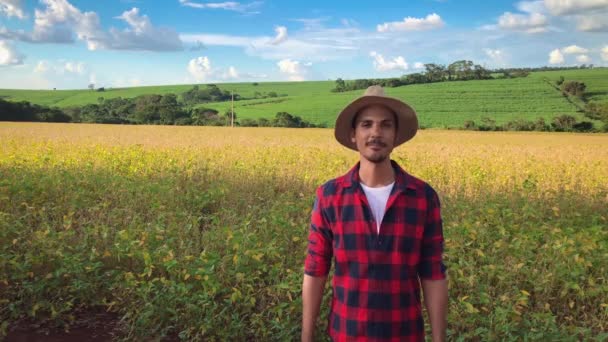 农夫或工作者与帽子在大豆田间种植园 — 图库视频影像