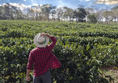 Kahve saç ekimi alan seyir şapka ile çiftçi