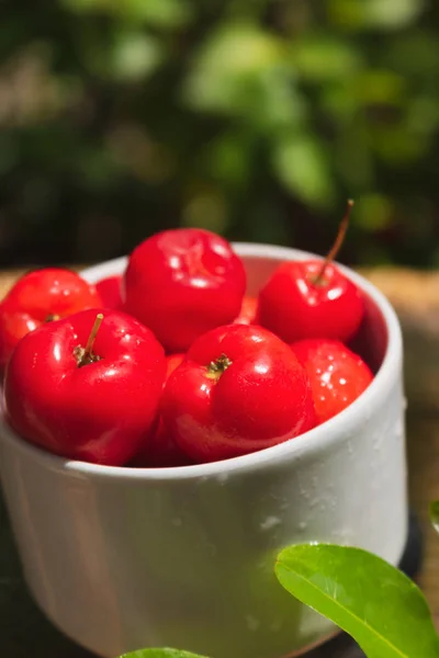 Acerola fruta em uma tigela à mesa no jardim, típico brasileiro fr — Fotografia de Stock