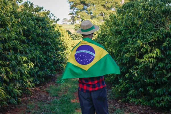 A brazil lobogó alatt közlekedő kávéültetvényen gazdálkodó — Stock Fotó