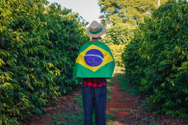 Agricoltore nella piantagione di caffè con bandiera brasiliana — Foto Stock