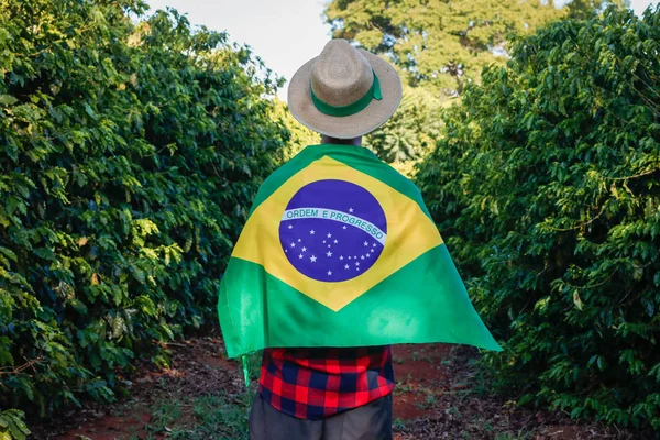 Fermier dans une plantation de café tenant le drapeau brésilien — Photo