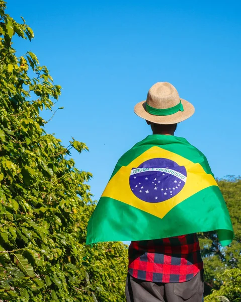 Agricultor en plantación de café con bandera brasileña — Foto de Stock