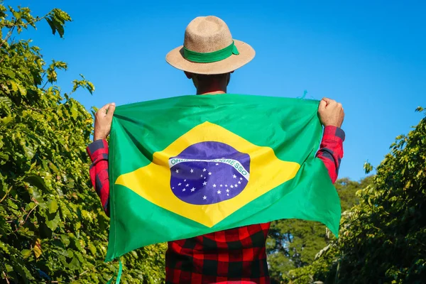 Agricultor en plantación de café con bandera brasileña — Foto de Stock