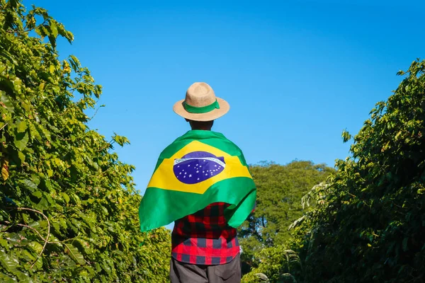 Agricultor en plantación de café con bandera brasileña —  Fotos de Stock