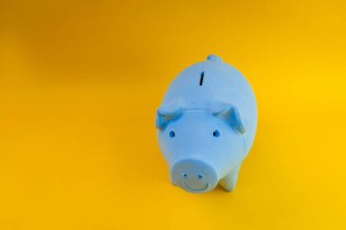 Hesap makinesi ve izole edilmiş dolarları olan domuzcuk paraları.