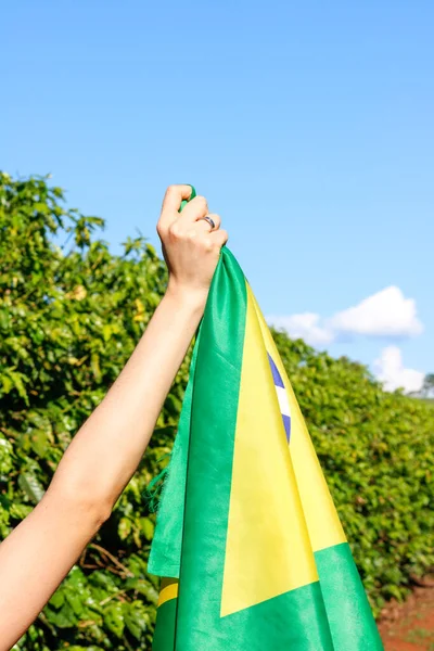 Segurando Bandeira Brasileira Vento — Fotografia de Stock