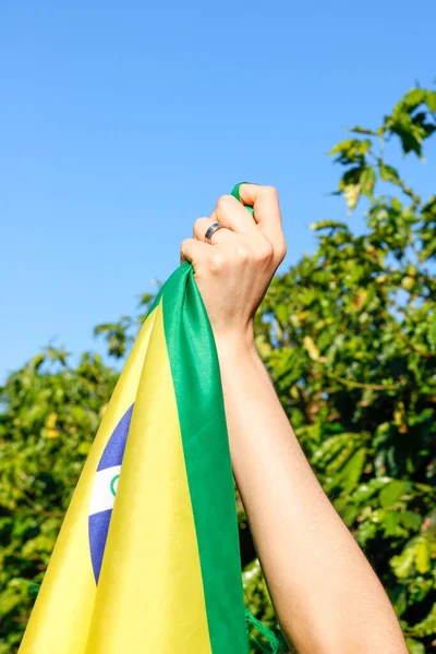 Tenir Drapeau Brésilien Dans Vent — Photo