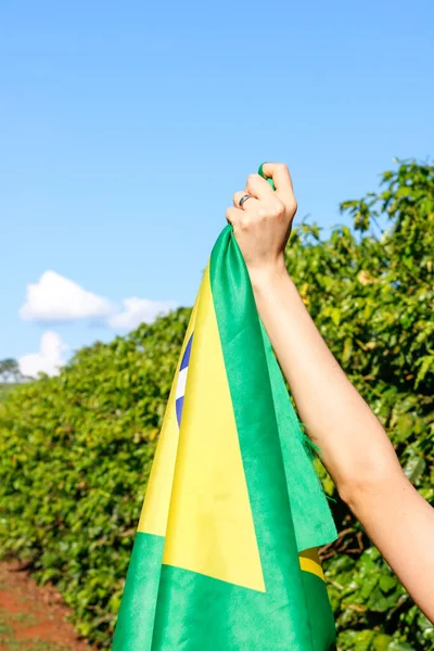 Sostiene Bandera Brasileña Viento —  Fotos de Stock