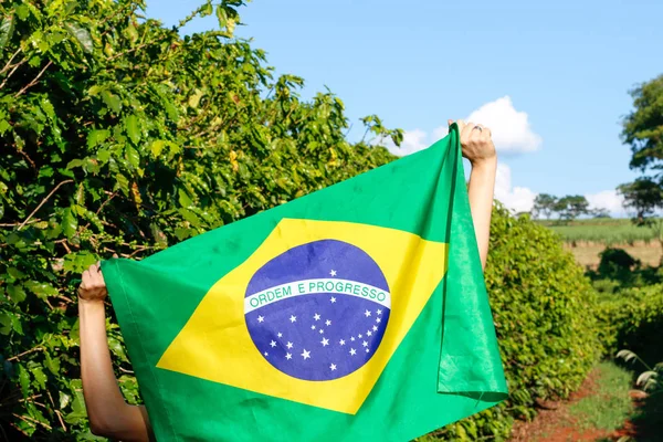 ブラジル国旗を風になびかせ — ストック写真