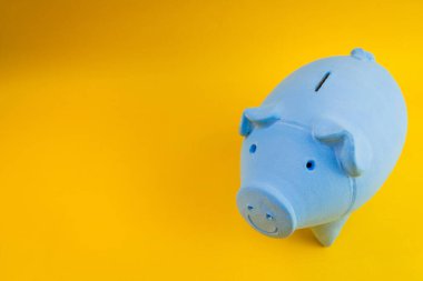 Hesap makinesi ve izole edilmiş dolarları olan domuzcuk paraları.