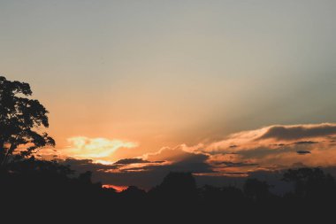 Çiçek tarlasında dramatik günbatımı.