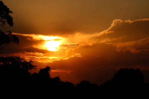 Pôr Sol Dramático Florest Field — Fotografia de Stock