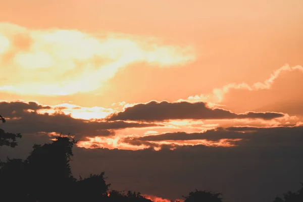 花畑での劇的な夕日 — ストック写真