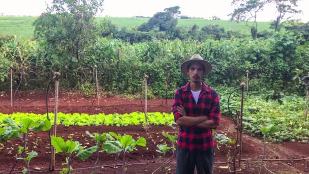 Boer Arbeider Met Hoed Sla Plantage — Stockvideo