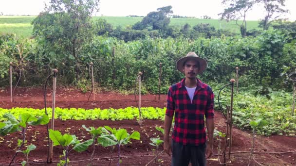 Marul Tarlasında Şapkası Olan Çiftçi Işçi — Stok video