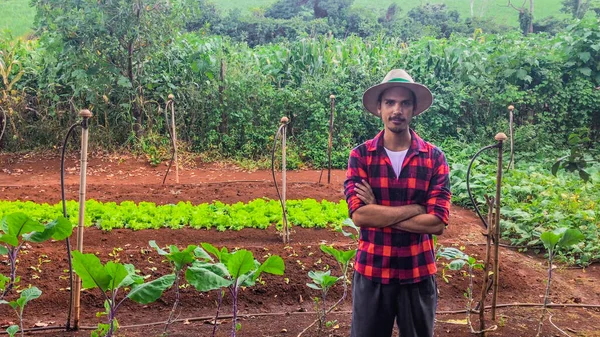 Farmer or worker with hat in lettuce plantation.