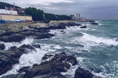Fırtınalı dalgaların ve Busan kıyılarındaki bulutlu gökyüzünün manzarasını kapat.