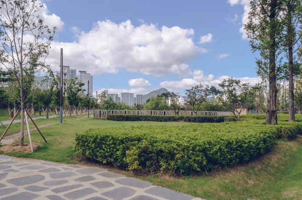 Busan Citizens Park Día Soleado Cálido Con Nubes Esponjosas Paisaje — Foto de Stock