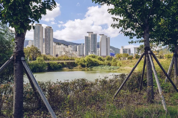 Paisaje Urbano Busan Desde Busan Citizens Park Ith Nubes Blancas — Foto de Stock