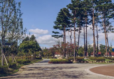 Güneşli bir günde Busan vatandaşlarının güzel ağaçlarla çevrili dağlık arazileri.