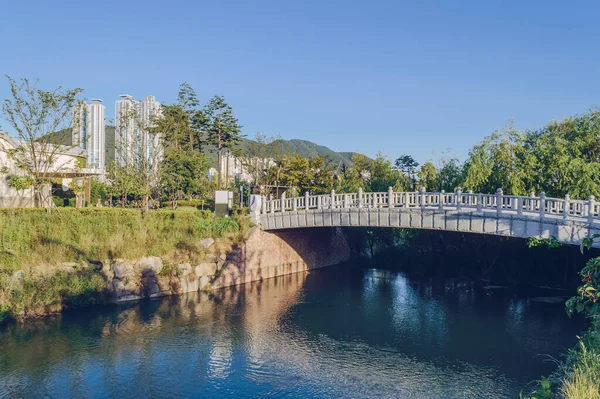 Busan Vatandaşlarının Park Ettiği Göl Köprü Etrafında Güzel Ağaçlar Var — Stok fotoğraf
