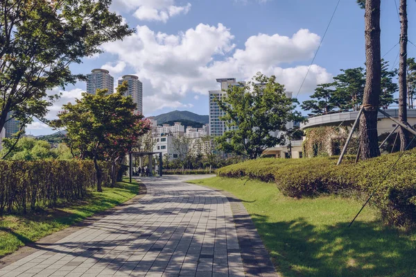 Sendero Pavimentado Dentro Del Parque Ciudadanos Busan Con Vista Paisaje — Foto de Stock