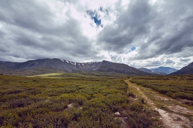 Ayak dağ vadilerden yolculuğa. Yabani hayvanlar ve bitkiler güzellik. Altay, Shavlinsky gölleri giden yol. Zammı