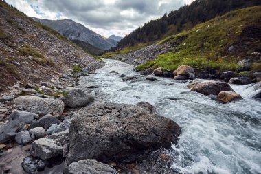 Ayak dağ vadilerden yolculuğa. Yabani hayvanlar ve bitkiler güzellik. Altay, Shavlinsky gölleri giden yol. Zammı