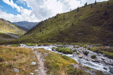 Ayak dağ vadilerden yolculuğa. Yabani hayvanlar ve bitkiler güzellik. Altay, Shavlinsky gölleri giden yol. Zammı