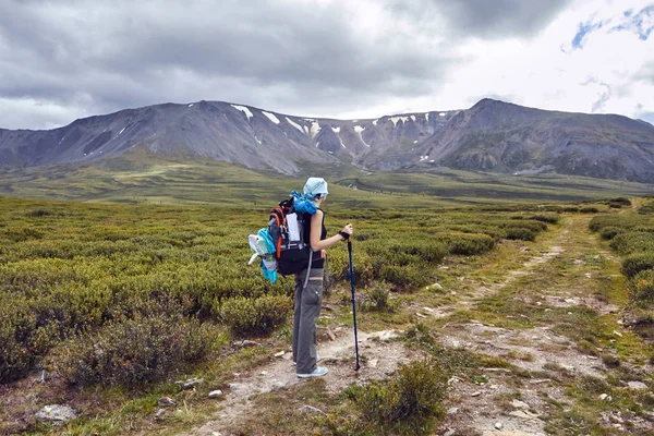 Zu Fuß durch die Bergtäler. die Schönheit der Tierwelt. altai, dem Weg zu den Schawlinski Seen. Wanderung — Stockfoto