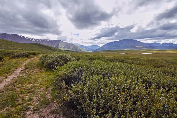 Resa till fots genom fjälldalar. Skönheten av vilda djur. Altai, vägen till Shavlinsky sjöar. Vandra — Stockfoto
