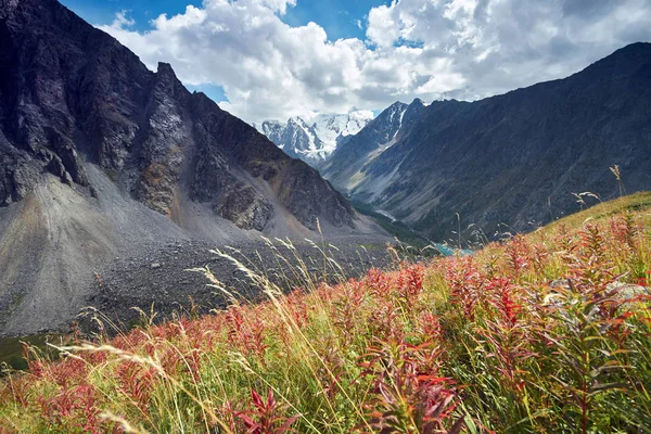 Viaje a pie por los valles montañosos. Belleza de la vida salvaje. Altai, el camino a los lagos Shavlinsky, Rusia. Picos de montañas nevadas de Siberia. Senderismo en las montañas en verano — Foto de Stock