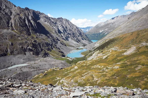 Resa till fots genom fjälldalar. Skönhet av vilda djur. Altai, vägen till Shavlinsky sjöar, Ryssland. Topparna av snötäckta bergen i Sibirien. Vandring i bergen på sommaren — Stockfoto