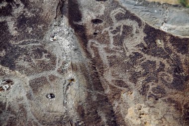 Petroglifler, antik kaya oyma taş Altay