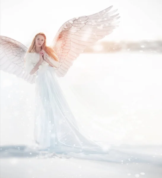 Mulher anjo com asas no inverno. Anjo de neve em pé na neve, o Guardião do inverno, uma imagem fabulosa — Fotografia de Stock